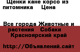 Щенки кане корсо из  питомника! › Цена ­ 65 000 - Все города Животные и растения » Собаки   . Красноярский край